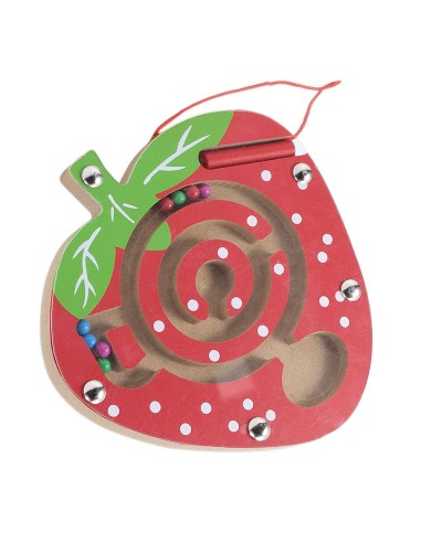 Mažas magnetinis labirintas