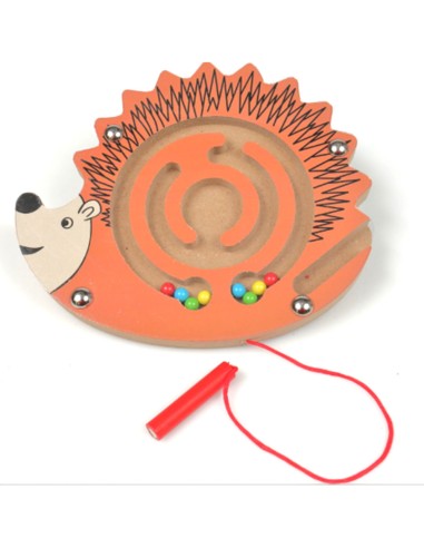 Mažas magnetinis labirintas