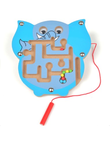 Mažas magnetinis labirintas