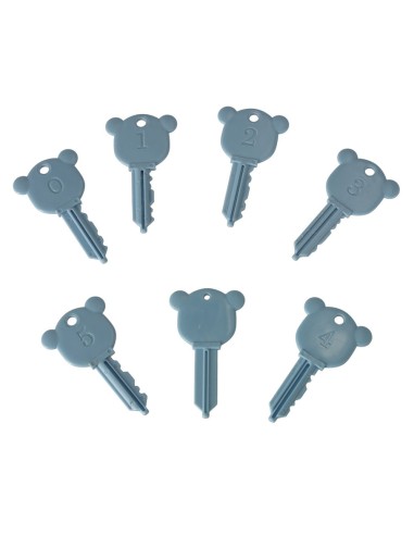 Montessori spynos ir 6 transporto...