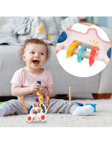 Montessori Sensorinis...