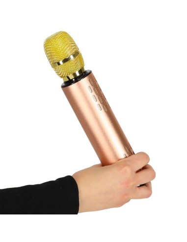 Daugiafunkcis Muzikinis Mikrofonas K3...