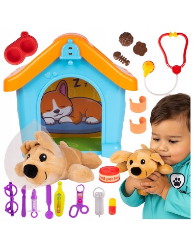 Mokomasis veterinarijos kabinetas...