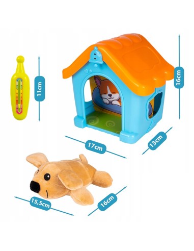 Mokomasis veterinarijos kabinetas...