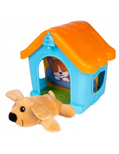 Mokomasis veterinarijos kabinetas...