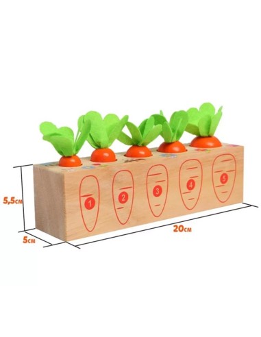 Montessori medinis žaidimas Morkų...