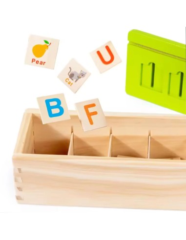 Montessori medinė žinių klasifikavimo...