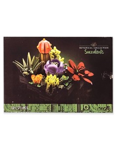 Didysis 771 dalies sukulentų rinkinys – sukurkite savo naminį darželį!