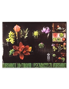 Didysis 771 dalies sukulentų rinkinys – sukurkite savo naminį darželį! 2