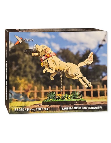 „Xbert“ kolekcinis Labradoro modelis: kūrybiškas 1257 kaladėlių rinkinys