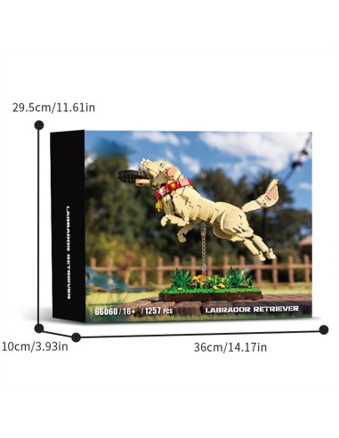 3D Labradoro retriverio...