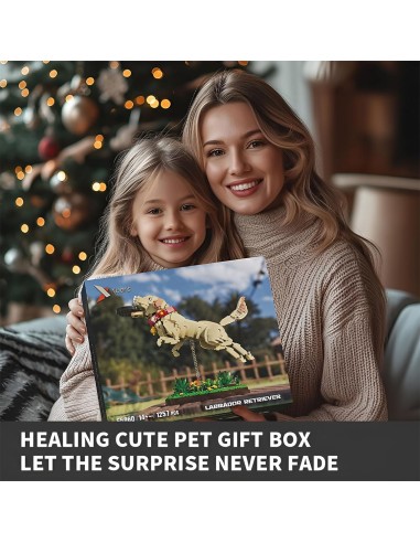 3D Labradoro retriverio...