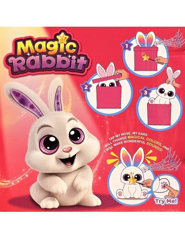 Magiškas triušis staigmenų dėžutėje...