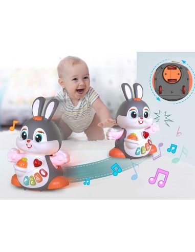 Interaktyvus važinėjantis žaislas...