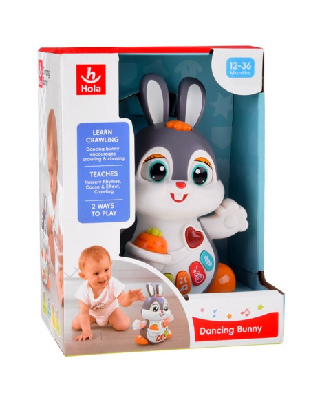 Daugiafunkcinis veiklos centras: Pianinas, rūšiuoklė ir gyvūnų garsai