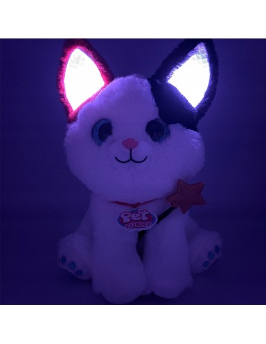 Magiškas pliušinis kačiukas su...