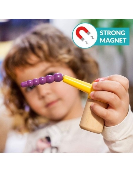 Magnetiniai vikšreliai