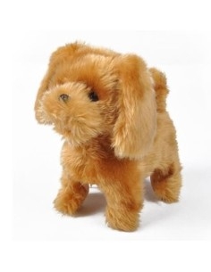 Interaktyvus šunelis su pavadėliu-pulteliu 2