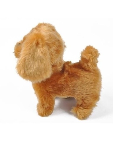 Interaktyvus šunelis su pavadėliu-pulteliu