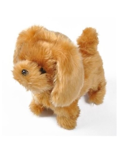 Interaktyvus šunelis su pavadėliu-pulteliu