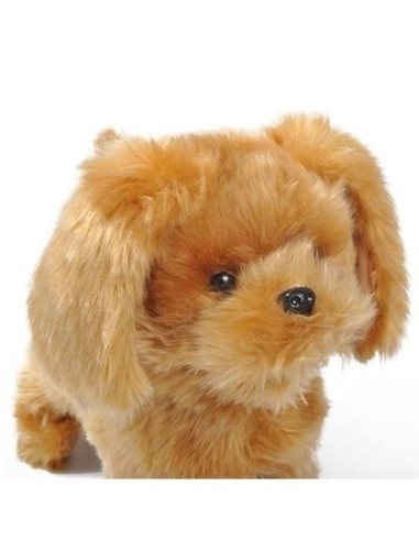 Interaktyvus šunelis su pavadėliu-pulteliu