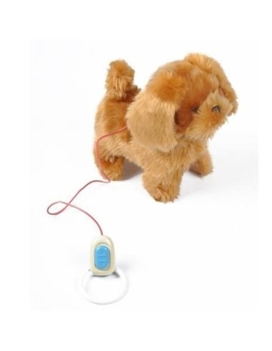 Interaktyvus šunelis su pavadėliu-pulteliu