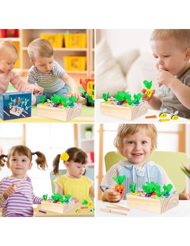 Montessori rūšiavimo žaidimas